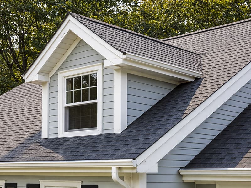 Professional Roofing Services